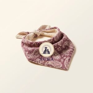 reversible bandana — Aura Pet Co.
