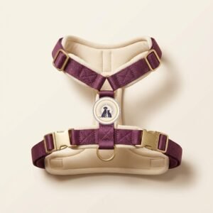 step in padded harness — Aura Pet Co.